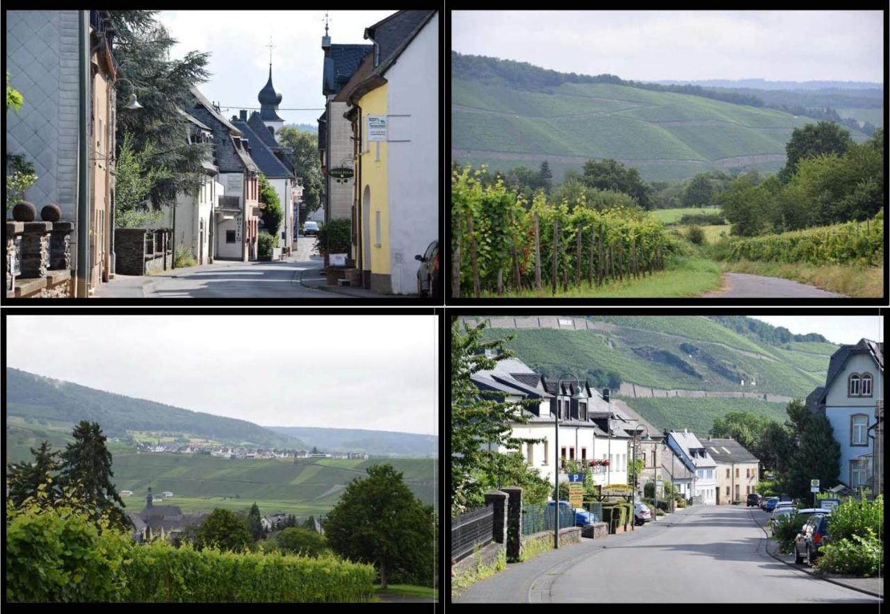 The Old Gemeinde House By The Mosel River برونبيبيرغ المظهر الخارجي الصورة