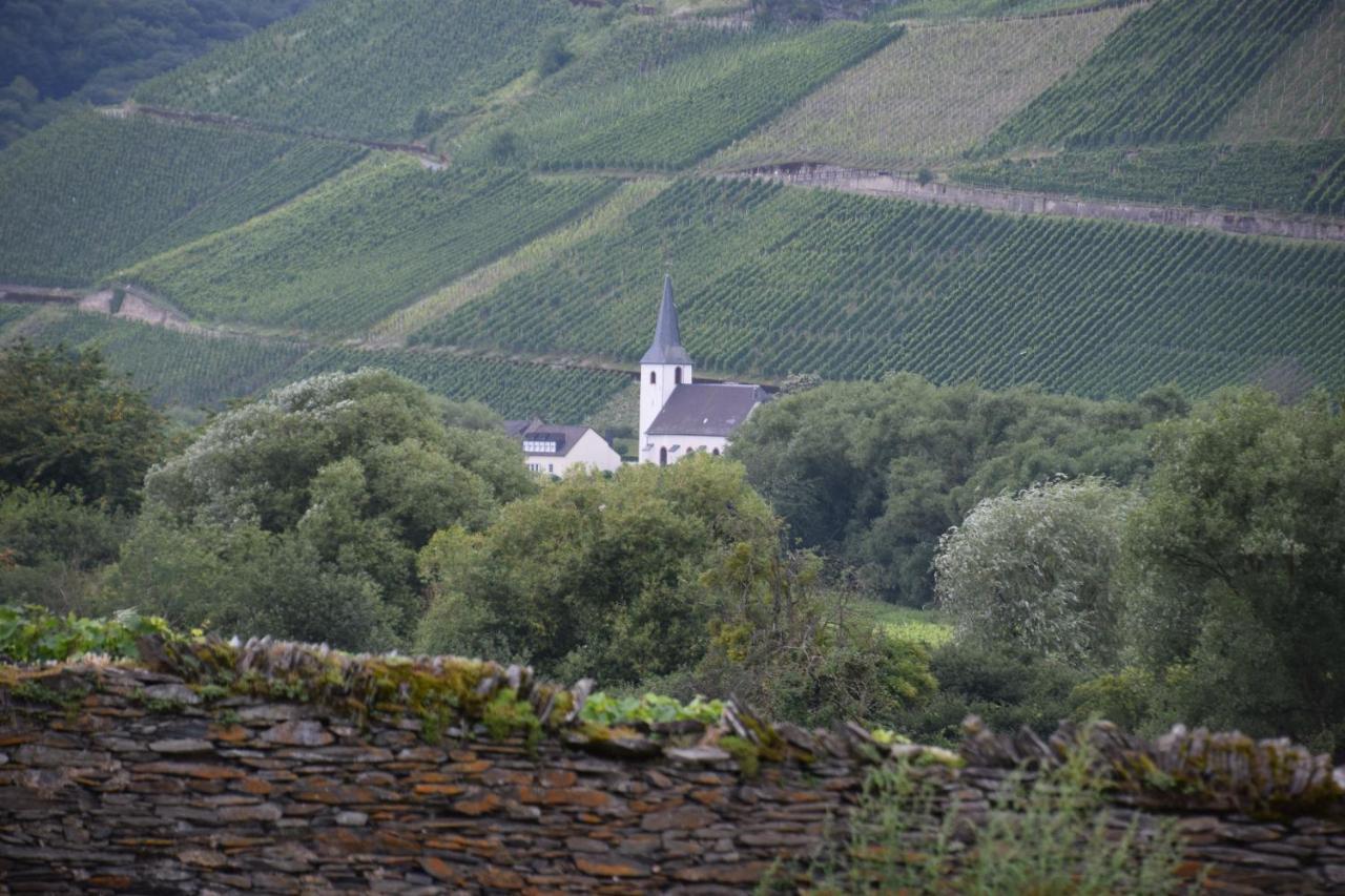 The Old Gemeinde House By The Mosel River برونبيبيرغ المظهر الخارجي الصورة